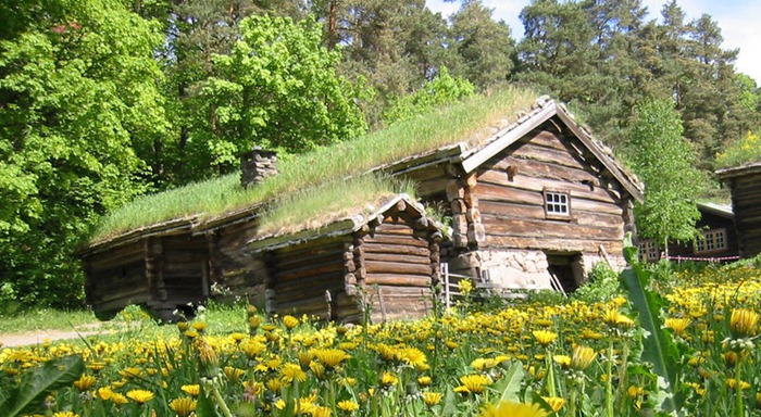 green-roof-norway (13)