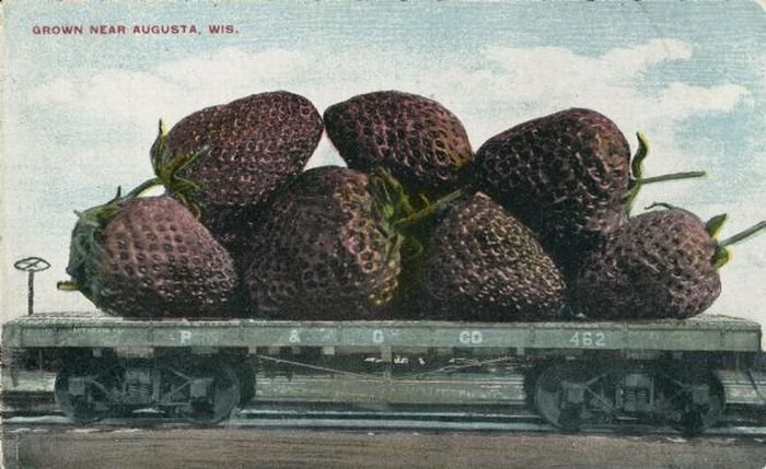 tall_tale_postcards_21 tall_tale_postcards_21