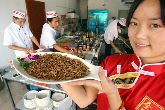 food-as-insects (6) food-as-insects (6)