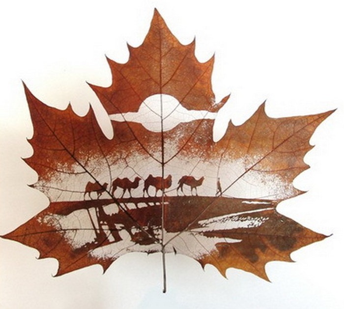 leaf-carving (2) leaf-carving (2)