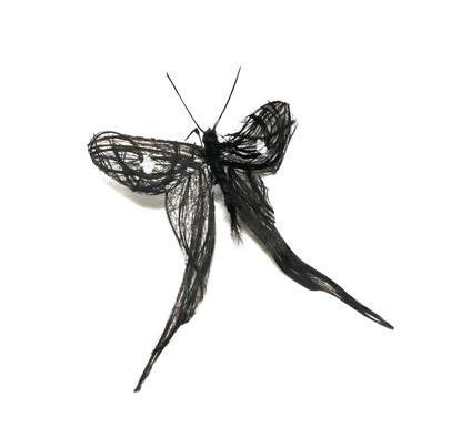 human-hair-insects1 human-hair-insects1