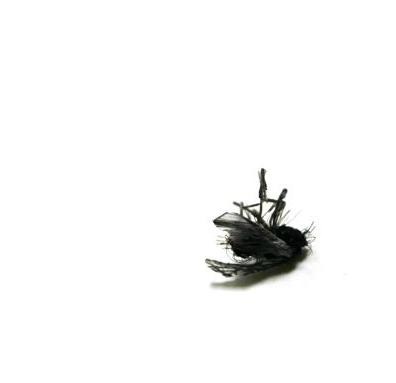 human-hair-insects3 human-hair-insects3