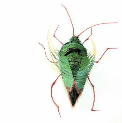 human-hair-insects9 human-hair-insects9