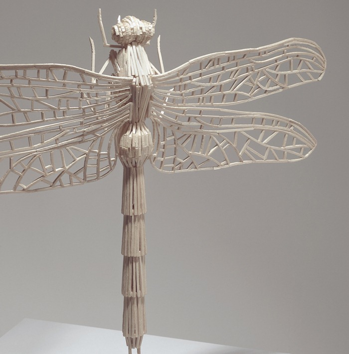 matchstick-insects2 matchstick-insects2