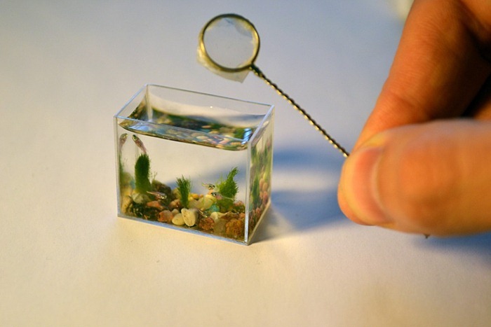 smallest-aquarium1