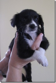 IMG_0274 IMG_0274