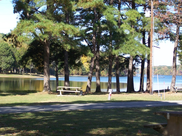 [20100672.jpg]