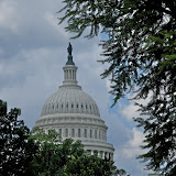 Washington DC