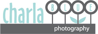 {charla BLUE weddings}
