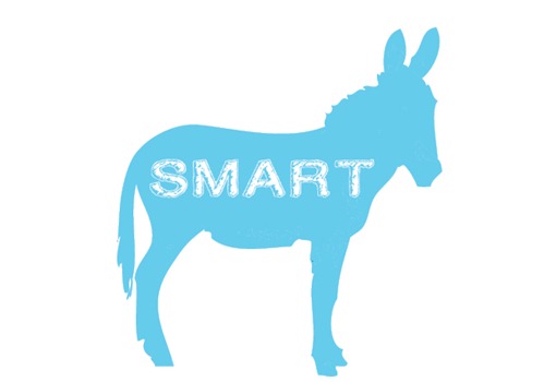 SmartAss_EXT