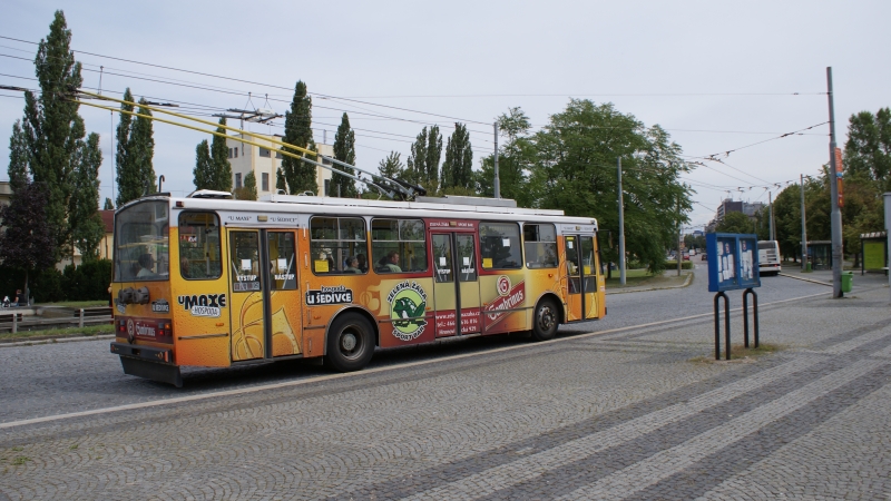 DSC09169.jpg