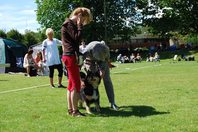 [Sandefjord 21.6 172[4].jpg]