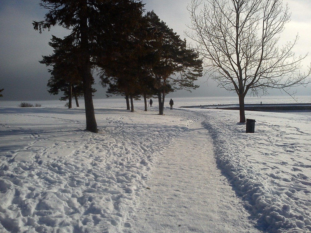 [DSC00040[5].jpg]