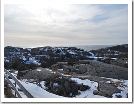 Mars 2011 022