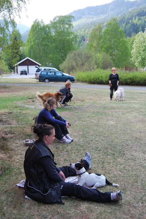 [Rallylydighet mai 2011 019.jpg]