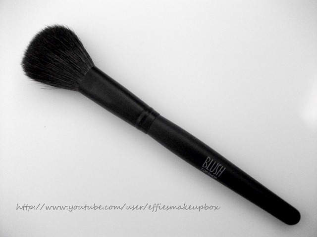 [blush brush[4].jpg]