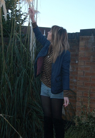 [jack wills and stripes 1.jpg]