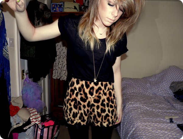 LEOPARD 1