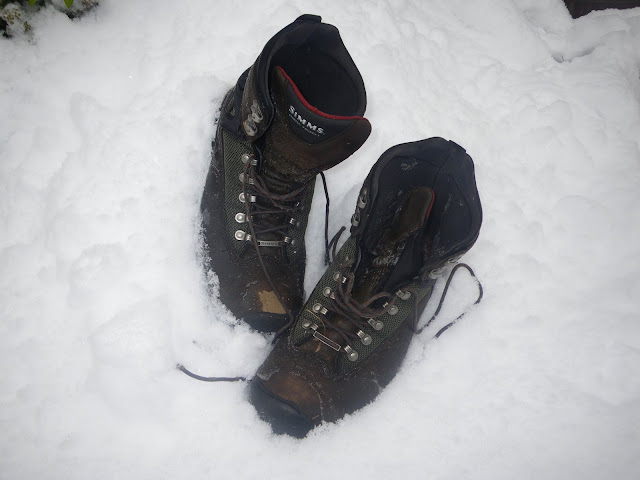 The Boots camped out last night