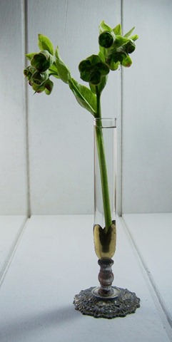 [good vase[2].jpg]