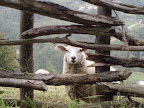 Camino del Salvador