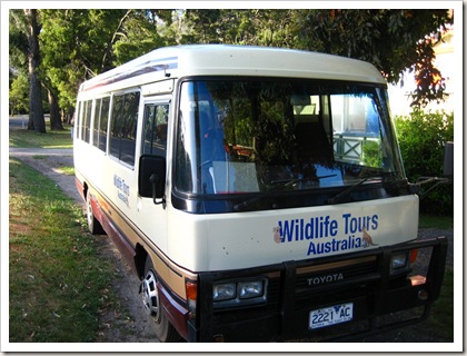 Wildlife Tours Bus