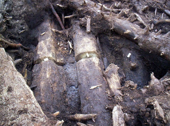 [Mogge di Ertola_scavo archeologico[4].jpg]