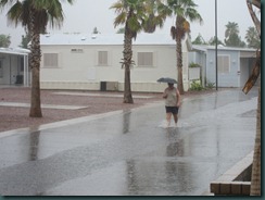 rain 011 rain 011