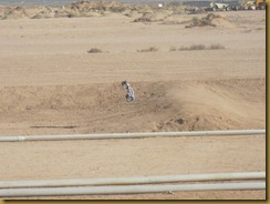 IMG_1729 IMG_1729