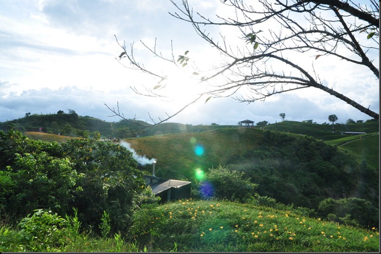 20100824 (204)_resize