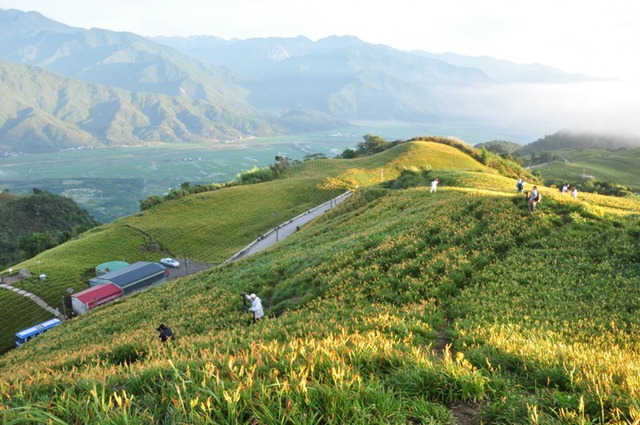 [20100824420_resize3.jpg]