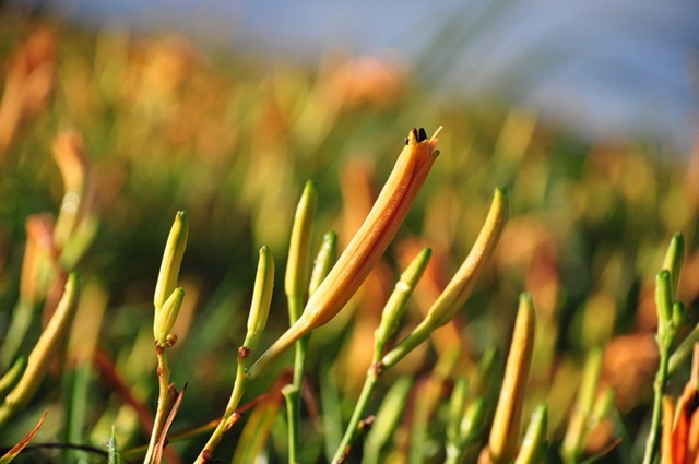 [20100824513_resize3.jpg]