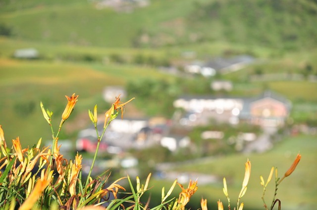 [20100824551_resize3.jpg]