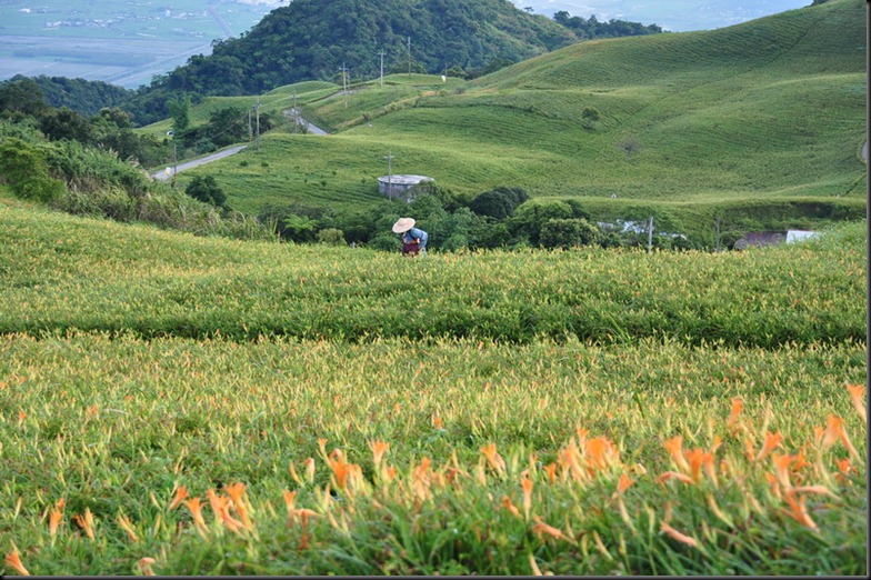 20100824 (624)_resize