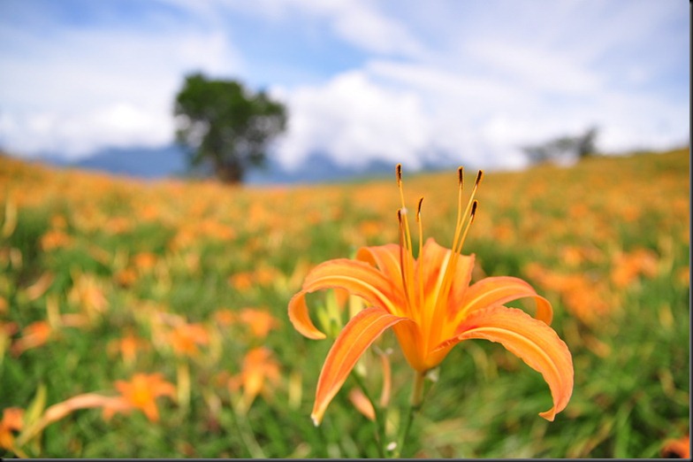 20100824 (844)_resize