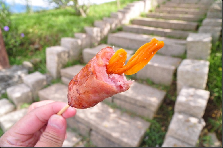 20100824 (717)_resize