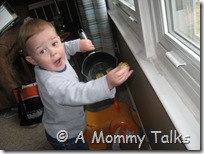 IMG_4470 IMG_4470