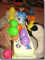 IMG_6642 IMG_6642