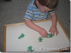 IMG_8152 IMG_8152