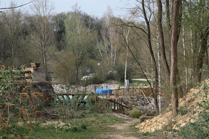 Alles bomen in de groeve.