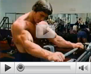 Work Out Bodybuilding Video Tube