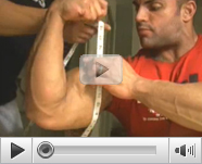 Work Out Bodybuilding Video Tube