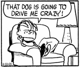 Peanuts_That dog is going to drive me crazy