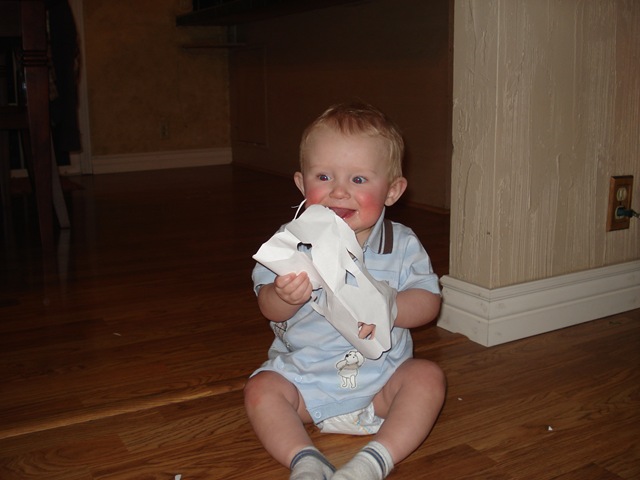 [7-8months 123[2].jpg]