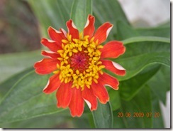 DSCN1670 DSCN1670