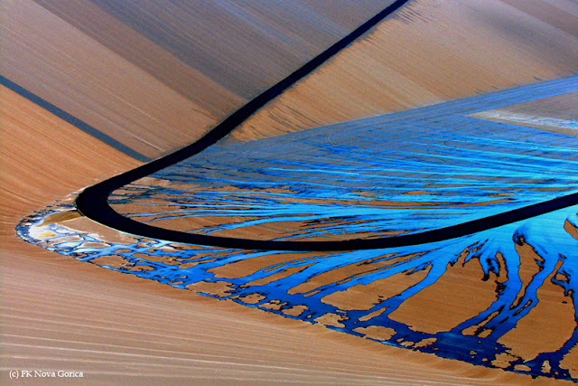 017David Lavrenčič.jpg