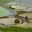 Poh_janez_kramar_soline.jpg