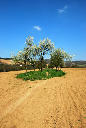 DSC_0006.JPG