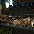 Fische