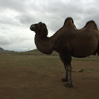 MONGOLIA